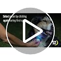 Carabiner Light with 6 Colors and Color-Changing Mode – Weather-Resistant Clip Light