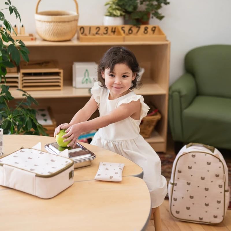 SoYoung Ice Pack - Adults - Kids - Lunch Boxes - Coolers - Backpacks - Eco-Friendly - Non-Toxic - Blue Dinosaur
