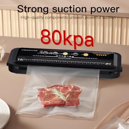 Vacuum Sealer Machine with Built-In Cutter, 80kPa Dry Moist Modes - Machine