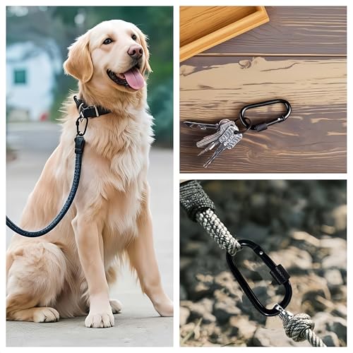 5 Pack D-Ring Carabiner Keychains with Key Rings ? Perfect for Camping, Fishing, Hiking, and Outdoor Adventures