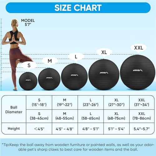 APEXUP Yoga Ball Exercise Ball Anti Slip Heavy Duty for Fitness, Balance & Core Workout