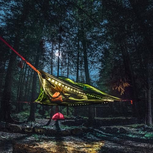 Tentsile Stingray V3 Tree Tent, Camping Hammock Tent, 3P Capacity, Portable Tree House Shelter for Campers, Backyards, Campgrounds (Dark Grey)