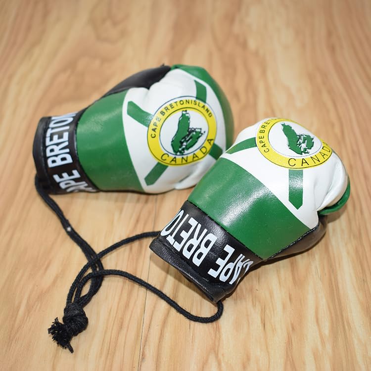 Joayuezo 1 Pair Mini Boxing Gloves Hang Mini Boxing Gloves for Car Mirror Keychain Ornament Car Decoration Accessories for Men and Women (Albania)