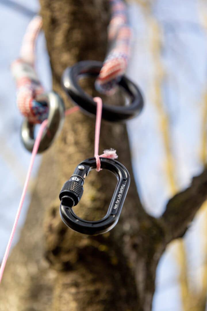 Omega Pacific Micro Raider – Mini Aluminum Keylock Screw-Lok Carabiner for Throwline, Gear Mounting, and Non-PPE Use – Oval Shape, 4kN Strength, Lightweight Accessory Connector - Ultra-Violet