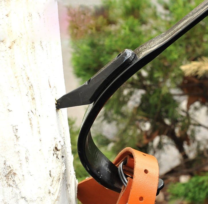 Forged Steel Tree Climbing Spikes, Adjustable Tree Climbing Gear, Climbing Spurs Gaffs with Leather Pads, Arborist Climbing Equipment Tree Work Hunting Gear with Straps & Gloves