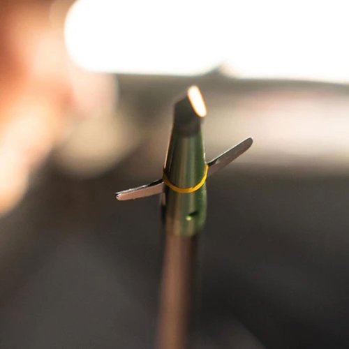 100 Grain Swhacker 2 Blade Mechanical Broadhead - 2 Inch Cut for Precision Hunting