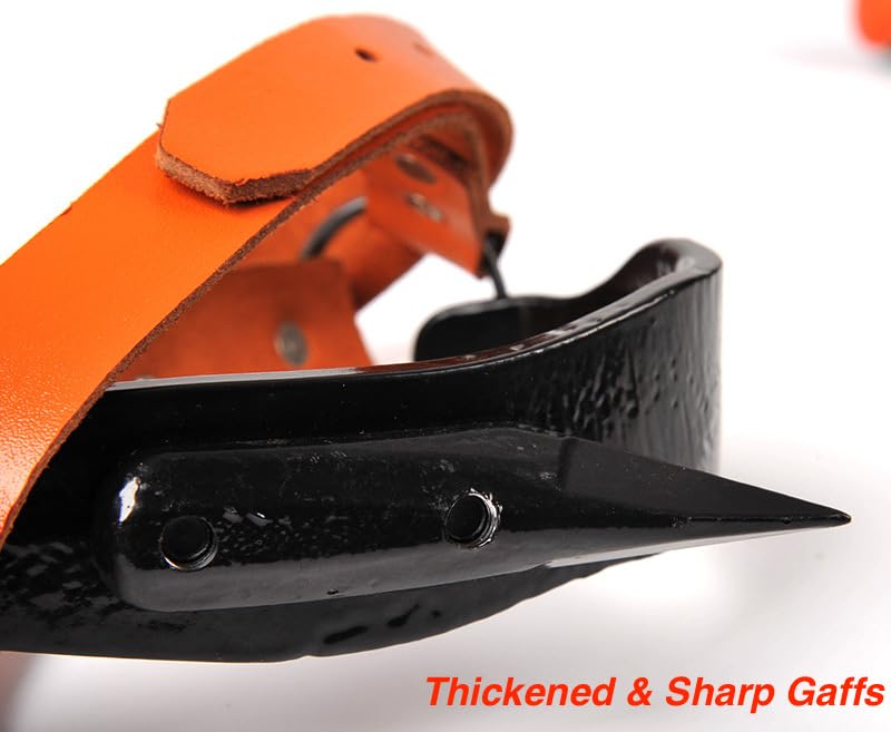 Forged Steel Tree Climbing Spikes, Adjustable Tree Climbing Gear, Climbing Spurs Gaffs with Leather Pads, Arborist Climbing Equipment Tree Work Hunting Gear with Straps & Gloves