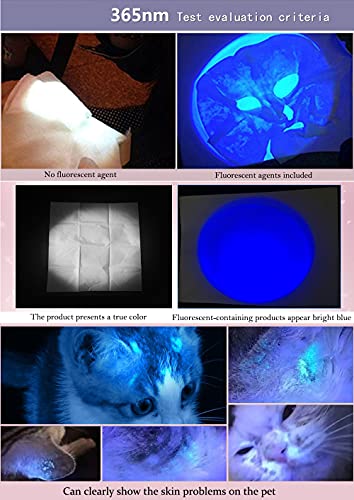 UV Blacklight Flashlight 365nm with Rechargeable USB for Detection & Outdoor Use
