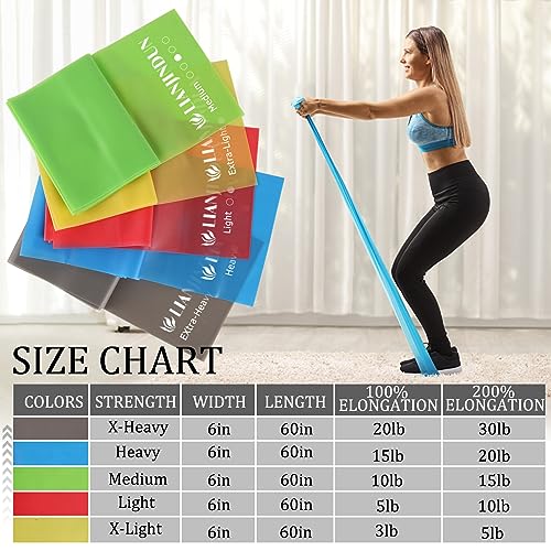 5-Piece Latex-Free Resistance Bands Set with Handles and Door Anchor for Exercise & Rehab
