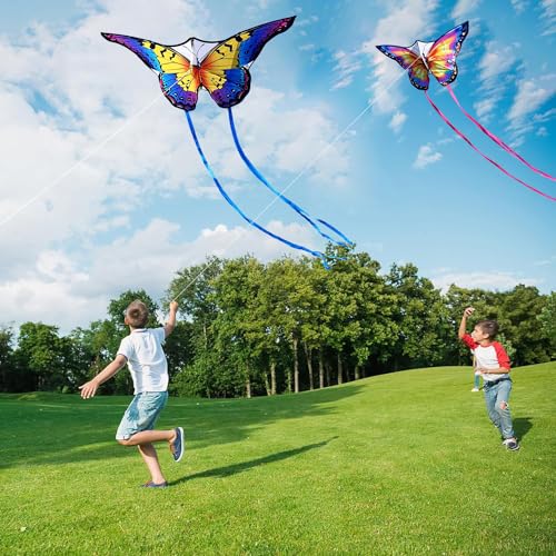 Honbo Rainbow Butterfly Kites for Kids & Adults, Easy to Fly, 300ft Line, Beginner Outdoor Kites for Family & Beach
