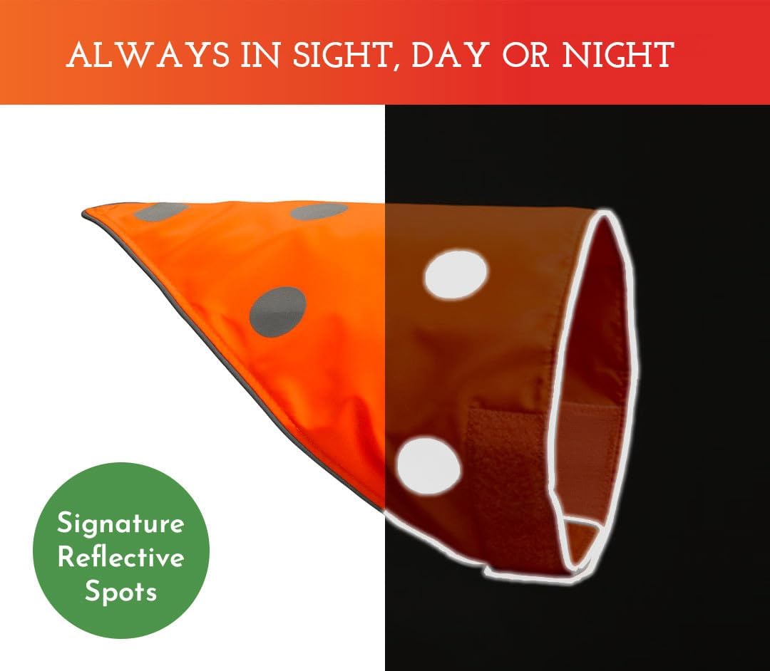 SPOT THE DOG! Reflective Dog Bandanas - High Visibility Safety Dog Accessories for Small, Large Dogs, Orange Collar, Scarf, Kerchief, Bib for Hunting, Camping, Walking at Night (Blaze Orange, M-L)