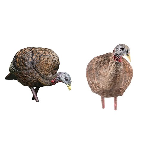 AVIAN-X LCD Feeder Hen AVX8007 & Breeder Hen AVX8008 Turkey Decoys | Realistic Lifelike Collapsible Standing Hunting Decoys with Carry Bag & Stake
