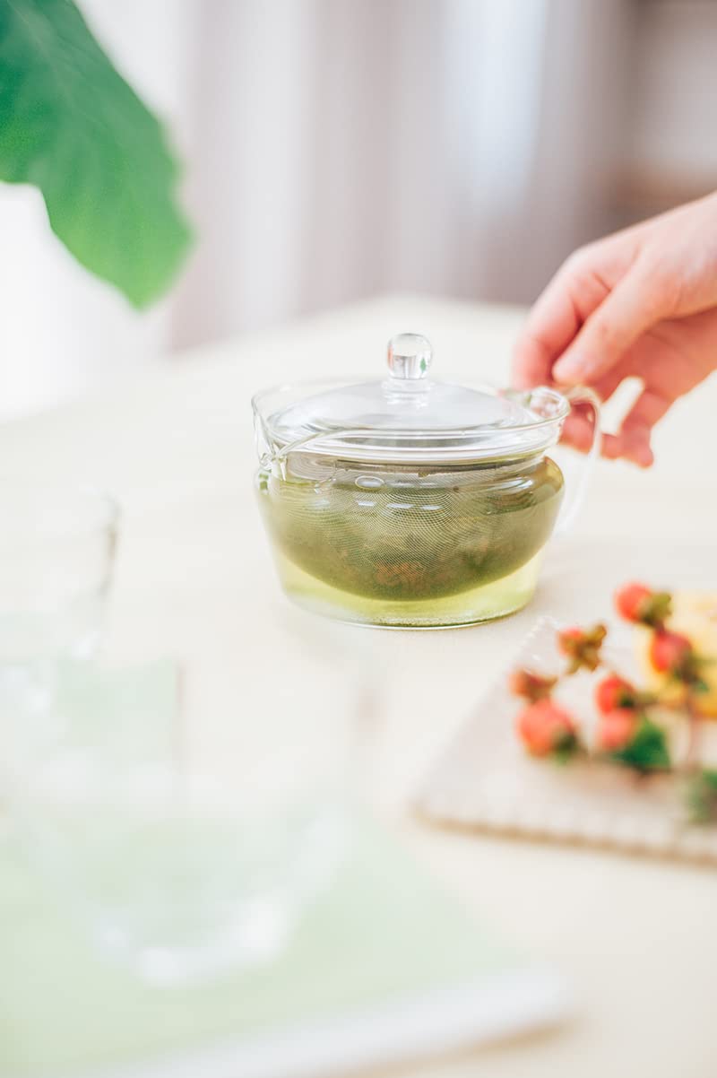 Hario ChaCha Kyusu "Zen" Tea Pot, 300ml