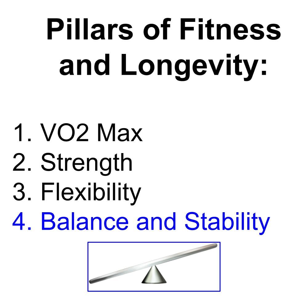 AcrobaX Balance Disc Trainer, 4-inch, Stainless Steel, for Acrobats, Athletes, Longevity, and Ankle Rehab for Balance Improvement, Adavanced Level Difficulty