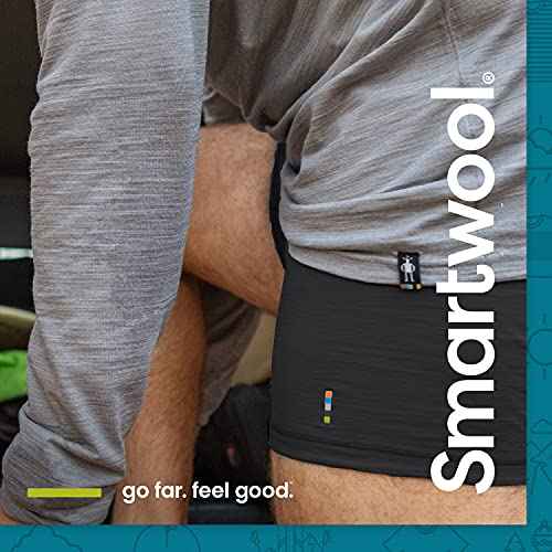 Smartwool Men's Perfect V-Neck Short Sleeve Tee