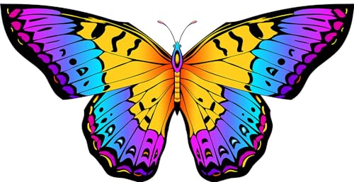 Honbo Rainbow Butterfly Kites for Kids & Adults, Easy to Fly, 300ft Line, Beginner Outdoor Kites for Family & Beach