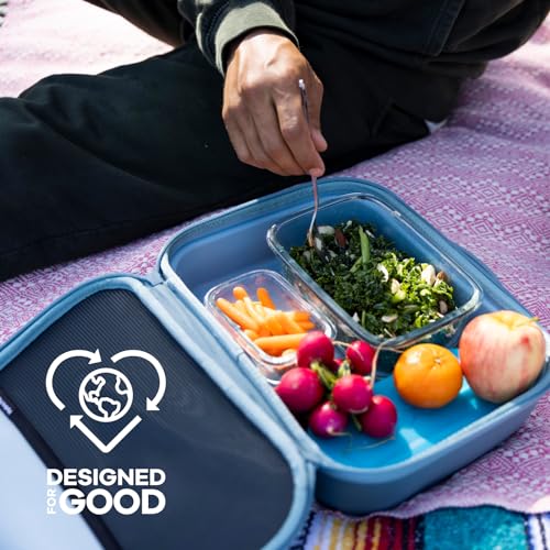 Hydro Flask 5 L Carry Out Lunch Box Trillium