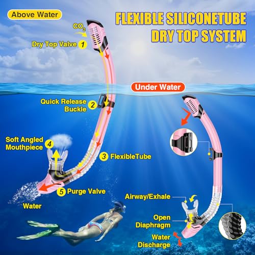 Adult Pink Snorkeling Mask Set with Dry Anti-Fog Snorkel - Impact-Resistant, Panoramic View