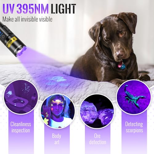 UV Blacklight Flashlight 395nm with White LED - Dual Mode, Rechargeable, Pocket Size - Variation: White + UV 395nm (Violet) 2 Pack