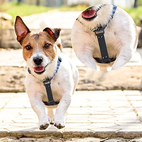 Dog Collar Backup 2 Pack Safety Clip for Prong, Martingale & Flat Collars