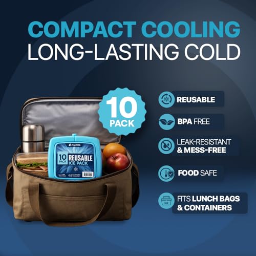 4 Pack Reusable Large Ice Packs for Cooler, Long-Lasting Freezer Packs for Camping and Travel - Variation of Lunch Boxes 10 Pack