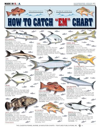 Fishermen's Saltwater Fish Identification Set - Waterproof Quick Reference Guide | Portable & Built to Last | Double-Sided & Easy to Read