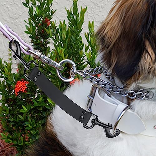 Dog Collar Backup 2 Pack Safety Clip for Prong, Martingale & Flat Collars
