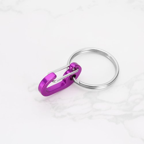 LT Easiyl 4 Sets Mini Carabiners Aluminum Alloy Keyring Clips D Ring Carabiner Spring Buckle Carabiner for Camping Fishing Hiking Traveling Sports Outdoors