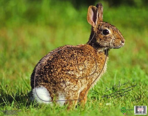Rabbit 11.25" x 14.25" Recyclable Plastic Weather Resistant Target TNTRabbit-S