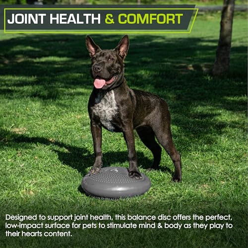 ProsourceFit Core Balance Disc Trainer, 14¡± Diameter with Pump for Improving Posture, Fitness, Stability