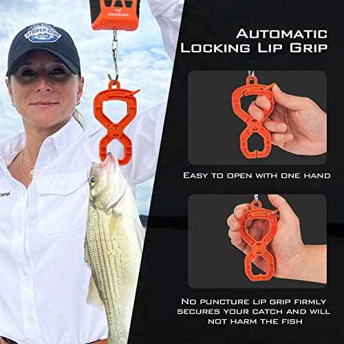 KastKing Fish Scale, WideView Floating Waterproof Digital Scale, 2.5¡± Large LCD Display, 110lb Capacity, Multi-Mode Pound/Ounces & Kilograms, Stores up to 9 Weights, Fishing Gifts for Men