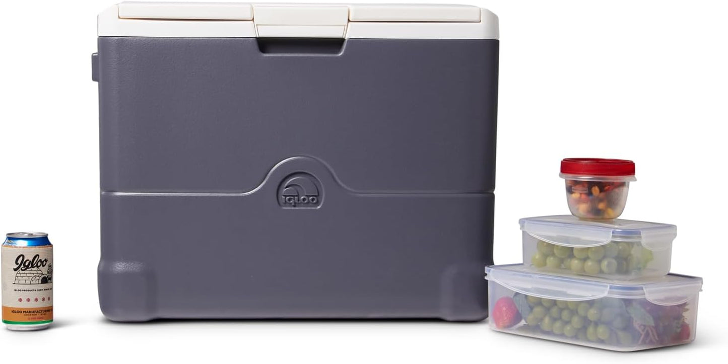 Igloo Iceless Thermoelectric Cooler, Portable Cooler Electric, Plug-in 12V Camping Fridge Cooler, Electric Ice Chest, Hielera Electrica