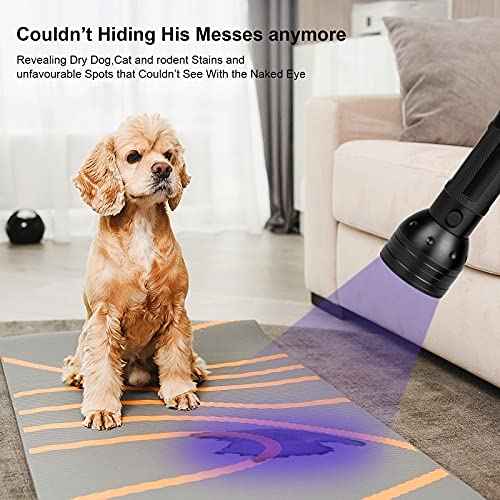 Black Light UV Flashlight, 51 LED Blacklight Flashlights 395 nM Pet Urine Detector with 3 Pack AA Batteries for Cat Urine, Stains, Bed Bug (Black)