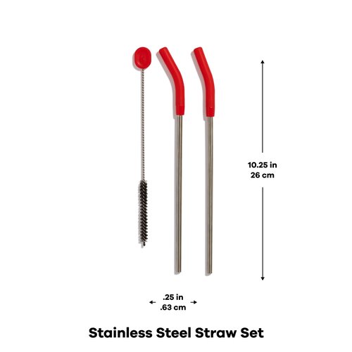 Hydro Flask Stainless Steel Straw Set Goji