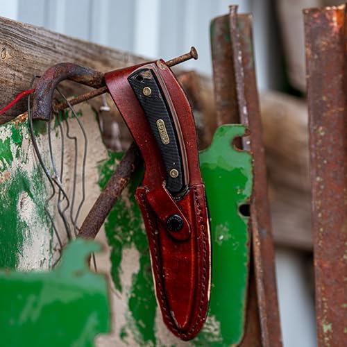 Old Timer 158OT Guthook Skinner 7.3in High Carbon S.S. Full Tang Fixed Blade Knife with 3.5in Blade and Sawcut Handle for Outdoor, Hunting and Camping