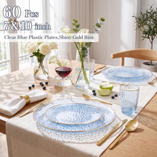 Clear Blue Plastic Plates with Gold Rim - Hammered Design, Disposable Party Dinner & Dessert Plates, 60Pcs, Variation: Clear Blue Gold