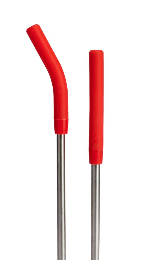Hydro Flask Stainless Steel Straw Set Goji