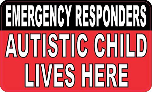 Autistic Child Lives Here Vinyl Sticker 5x3 Inches - Safe & Durable