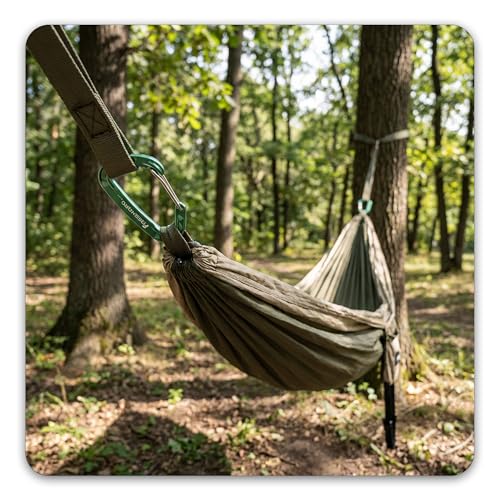 Heavy Duty Stainless Steel Wiregate Carabiner 15kN for Camping Hiking - Green 4 Pack