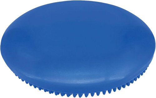 Champion Sports Exercise Disc