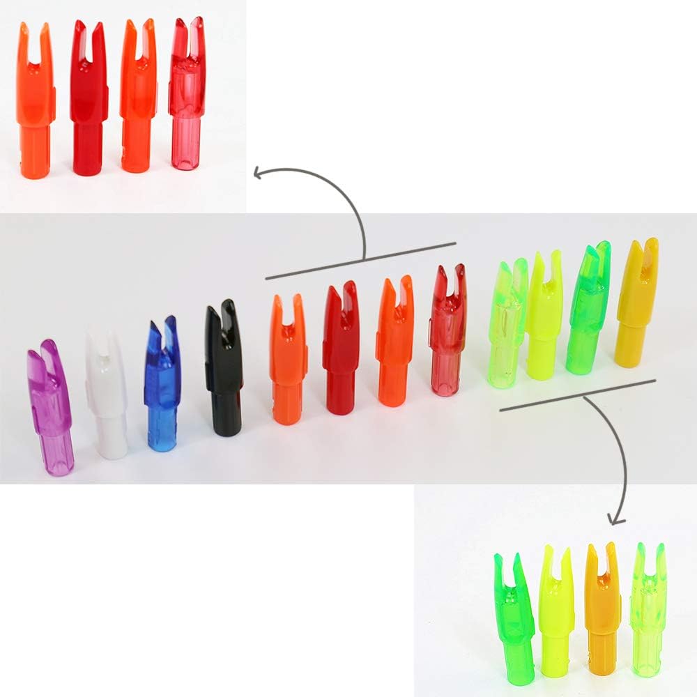 Arrow Nocks 0.246 inch Inside Diameter Inserts 6.20mm 60 Pack for Archery Standard Size(0.244" to 0.246") Arrows