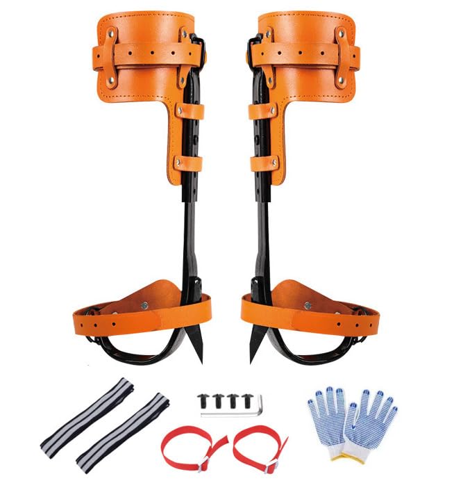 Forged Steel Tree Climbing Spikes, Adjustable Tree Climbing Gear, Climbing Spurs Gaffs with Leather Pads, Arborist Climbing Equipment Tree Work Hunting Gear with Straps & Gloves