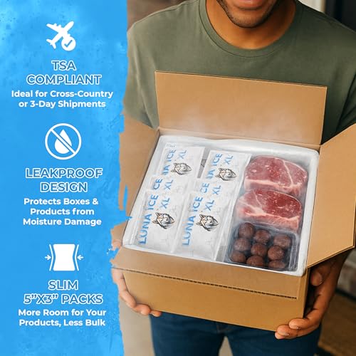 LUNA ICE Dry Ice Packs for Shipping XL - Long lasting ice packs - 24+ Hour Freeze Power - BPA Free - 6 Pack Bulk 3 lb ? Hielo Seco - Reusable Gel Bricks for Food
