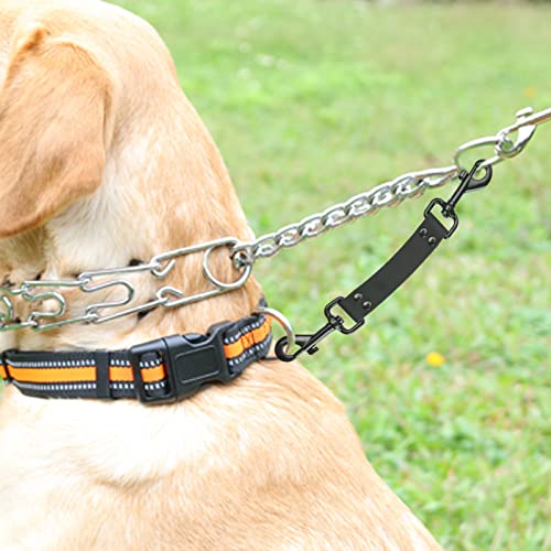 Dog Collar Backup 2 Pack Safety Clip for Prong, Martingale & Flat Collars