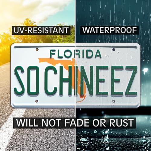 Florida License Plate - Metal Embossed Aluminum Car Plate - Fresh Off the Boat