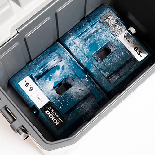 Igloo Performance Ice Block, XL