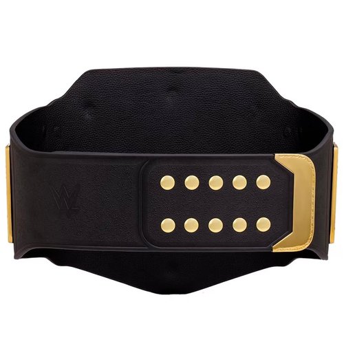World Heavyweight Wrestling Championship Replica Title Belt, Authentic Wear Universal Championship Belt - Adult Size - 4mm
