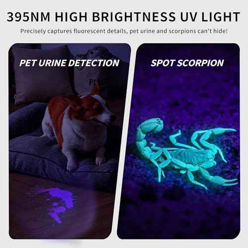 Black Light UV Light, 395nm Mini Powerful Rechargeable UV Flashlight, USB-C Ultraviolet Blacklight Flashlight, Portable Pet Urine Detector for Resin Curing, Uranium Glass, Rocks, Scorpion