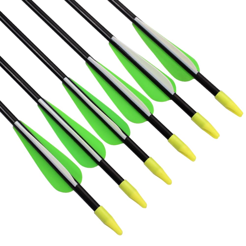 Fiberglass Practice Arrows Archery 24 Inch Target Shooting Safety Recurve Bows Suitable for Youth Children Woman Beginner 12 PCS