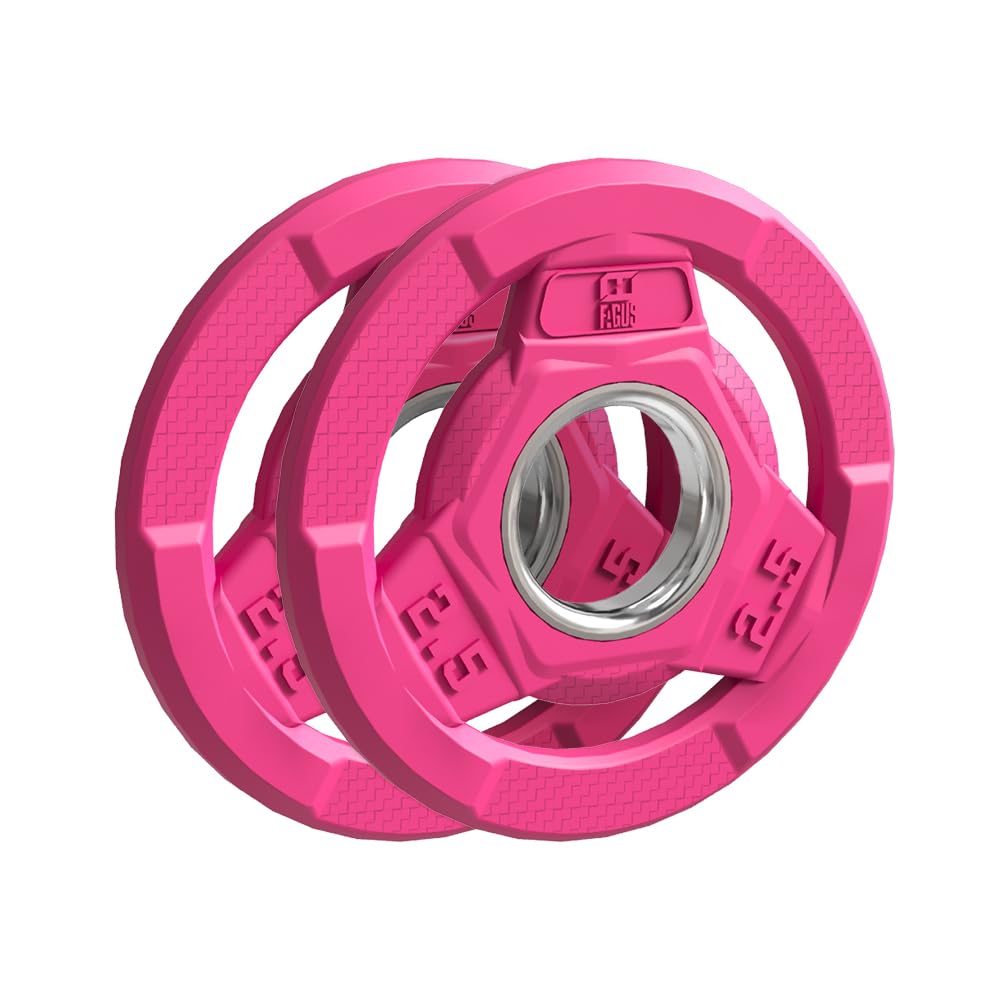 FAGUS H Color Coded Weight Plate 2-Inch Rubber Coated Olympic Grip Plate for Barbell,Solid Cast Iron Weight Plates for Strength Training,Weightlifting,Crossfit,Home Gym,2.5LB Pair